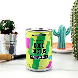 Cool Cactus Grow Tin