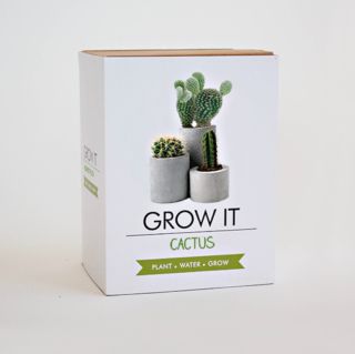 Large Grow It Kit- Cactus